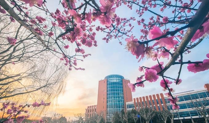 Phong cảnh mùa xuân ở trường Đại học Giao thông Thượng Hải
