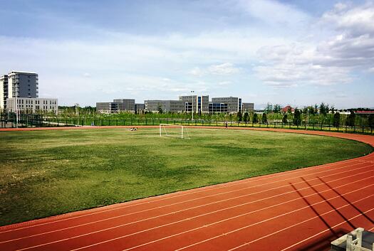 Sân thể thao của Trường Cao đẳng Y Thạch Gia Trang
